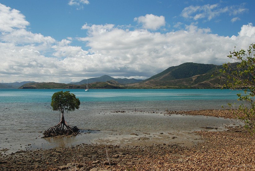11.18- Maree basse a la baie Maa.JPG